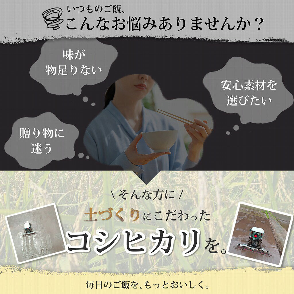 【 コシヒカリ2合お試しパック 三重県度会町産 】 無農薬 コシヒカリ 有機栽培 三重県産 2合 お米 高級 新米 kimai-10000003 特別なお米 氣米 楽天市場店 サンプル画像3