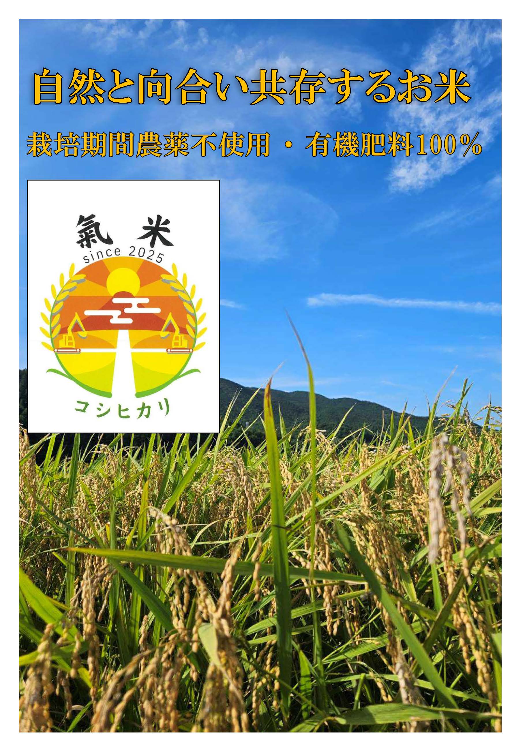 Other - 【 コシヒカリ 三重県度会町産 / 容量選択可 】 こしひかり 1kg 2キロ 5キロ 米 5KG お米 5キロ コシヒカリ 白米 5kg 2kg コシヒカリ5キロ 米5キロ 三重県 有機 コシヒカリ オーガニック 米 無農薬 産地米 有機米 無農薬米 国産米 ギフト 炊きたて 寿司飯 おにぎり 内祝い