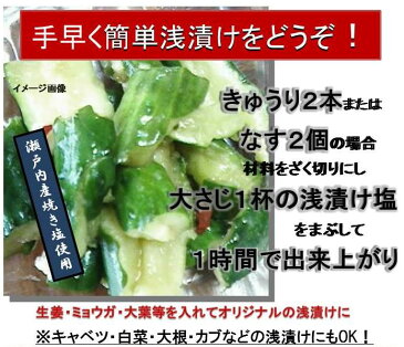 【ポイント消化 送料無料】 3種類から選べる浅漬け塩　5袋1760円 新発売！！ゆうパケット 全国送料無料 金沢 送料無料 メール便送料無料 塩送料無料 お試しセット 浅漬けの素 芽かぶ 浅漬け塩 RCP 塩人気 にんにく塩 ペペロンチーノ