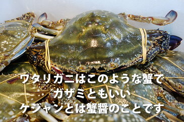 ケジャン (ワタリガニ 足)キムチランド謹製 約400g