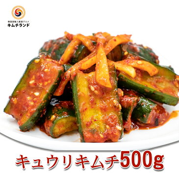 【キュウリキムチ 500g】キムチランド謹製 保存食 発酵食品 韓国食品 韓国食材 韓国 食品 食べ物 キムチ 韓国キムチ ご飯のおとも ごはんのお供 オイキムチ | おいしい 辛い きゅうり キュウリ ヤンニョム 韓国料理 韓国グルメ おつまみ つまみ 酒の肴 グルメ