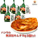 【無添加 白菜キムチ 1kg×5個】乳酸