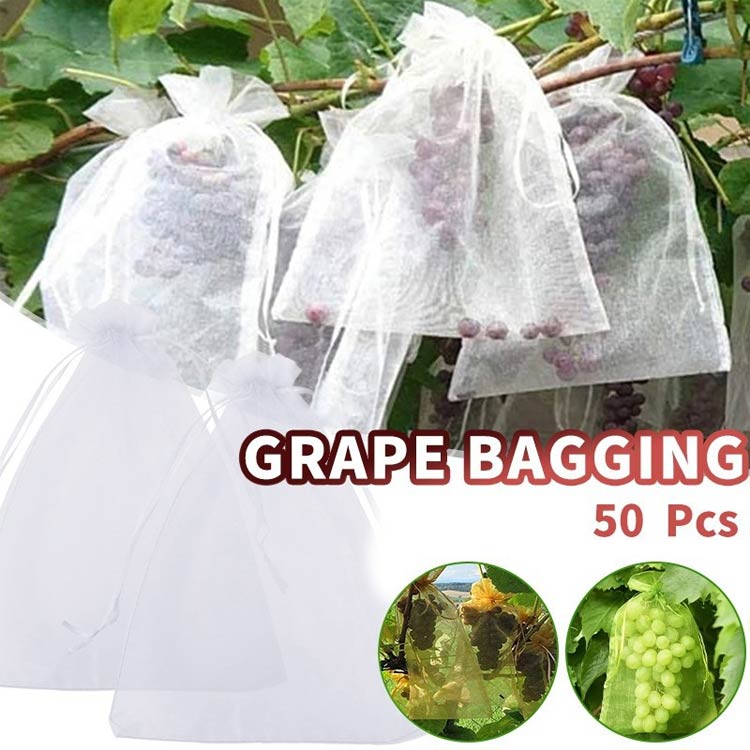 害虫 果実 防虫 果樹用資材 袋 植物フルーツ...の紹介画像2
