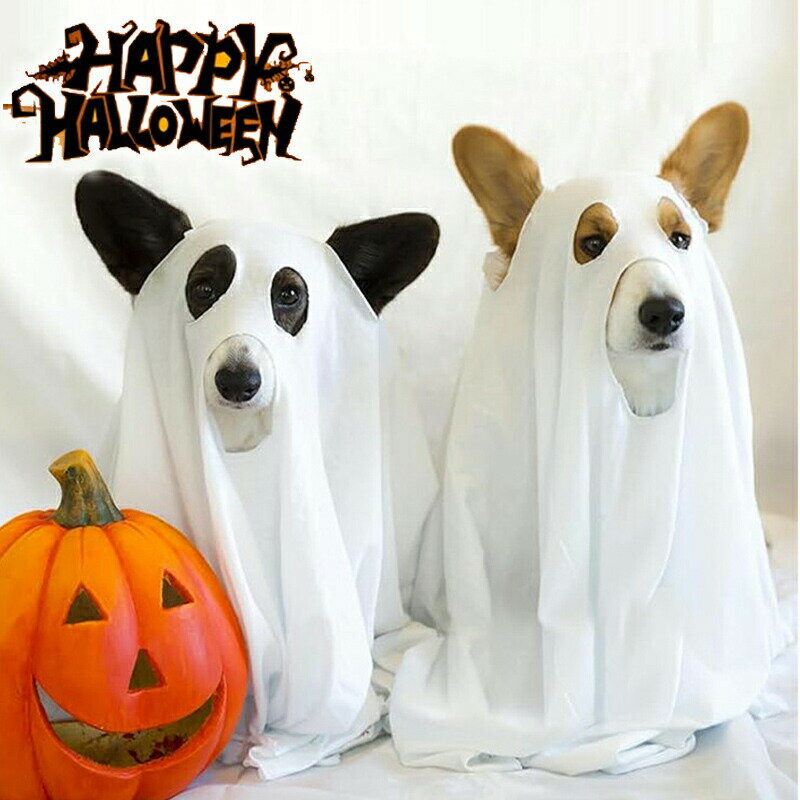 ハロウィンコスプレ衣装ペット服犬ペ...