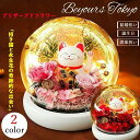 プリザーブドフラワー カーネーション ギフト 友だち 誕生日プレゼント 永遠の花 永生花 枯れない花 招き猫 バラ ドライフラワー ボックス付 LEDライト付 ...