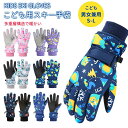 スキー グローブ キッズ 手袋 五本指 ジュニア 子供 4歳 5歳 6歳 7歳 8歳 9歳 10歳 11歳 12歳 13歳 スキー スノーボードグローブ スノーボード 防寒 防水 撥水 裏起毛 遊び 通学 スポーツ 滑り止め 男の子 女の子 雪遊び アウトドア スポーツ 登山