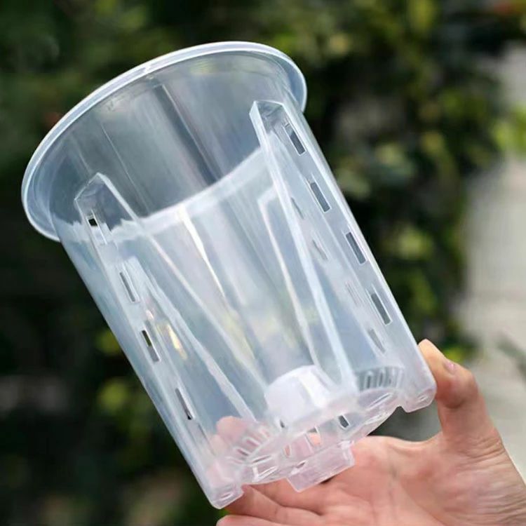 蘭の鉢 洋蘭鉢 受皿付き プラスチック 胡蝶蘭の植え替え 穴付き 10鉢セット 植木鉢...