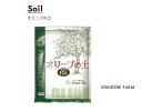 オリーブの土 10L アルカリ 川砂 オリーブ専門 研究 植物 植え替え 庭づくり 鉢植え オリーブの木 植木 庭木 シンボルツリー プロトリーフ