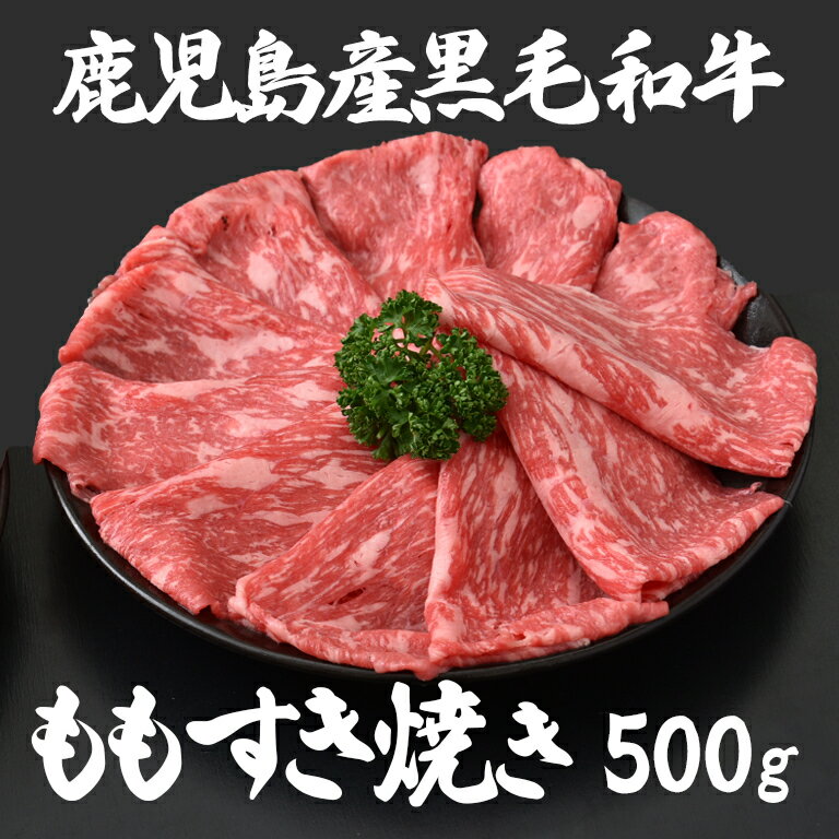 µ⤹Ƥå500礹䤭Ϳ̣££ʪˤե̵ûʿ