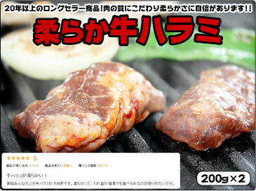 【送料込】(新）極旨焼肉セット　5〜6人前焼肉セット　焼肉 ハラミ焼肉　焼き肉セット 送料無料　BBQ　ホルモン タン