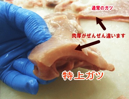 送料無料 国産 豚特上ミノ(豚ガツ） 100g×4個セット(400g) ホルモン 上ミノ 豚上ガツ バーベキュー BBQ 焼肉 販売 国産 珍しい セット