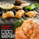 豚味噌ホルモン 480g 焼き肉 バーベキュー 豚 ホルモン 焼き 美味しい お手軽 モツ