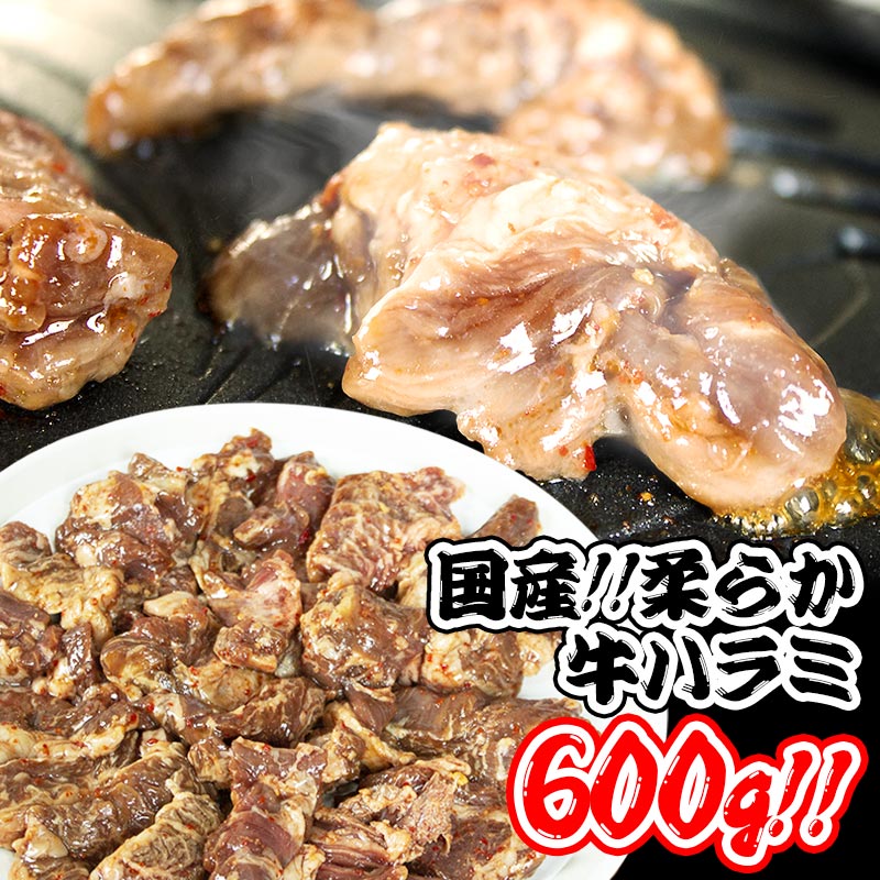 Y n~ 600gi200g~3jēZbg o[xL[ BBQ ͂ ʔ Ygp