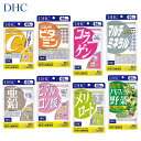 DHC　60日分　サプリメント 各種　サ