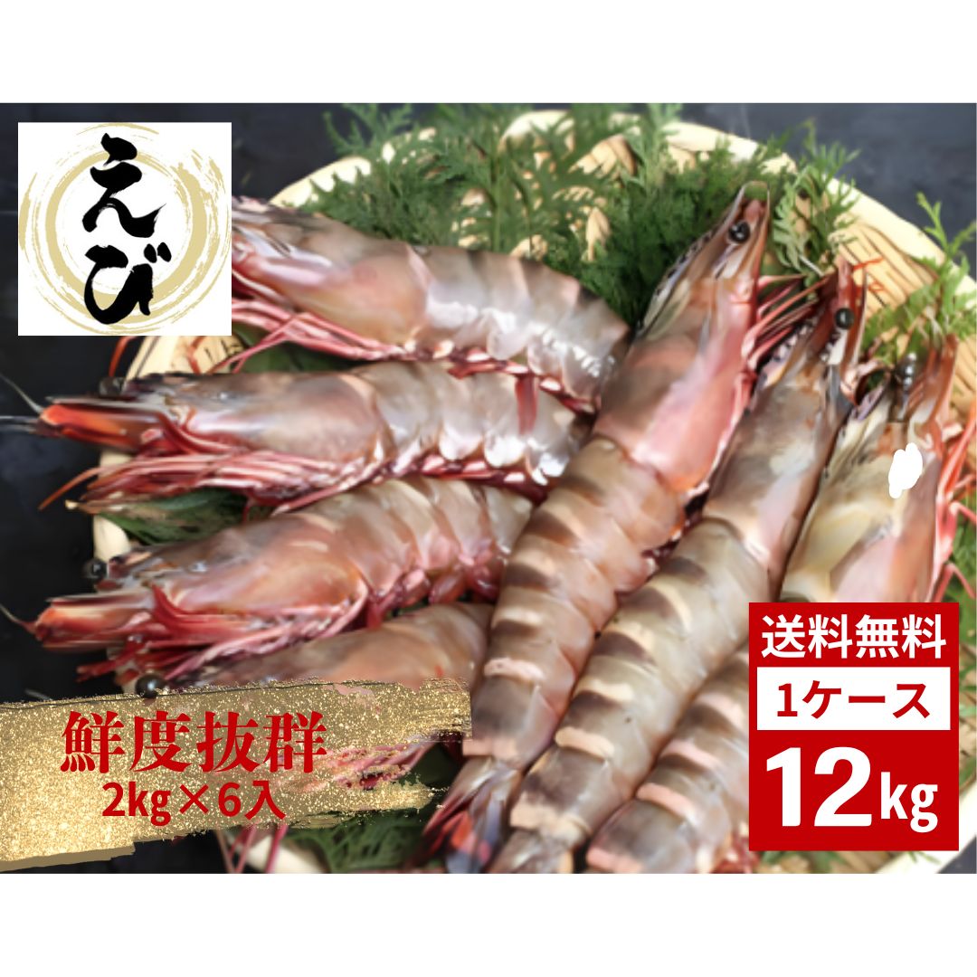  ֳϷ L2 20/30 를 12kg 2kg6  ɿ   ʬ ХХ ̵