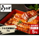 うなぎ 鰻 蒲焼き 中国産 5kg うな重 鰻丼 うな丼 海鮮 すし 寿司 小分け バラバラ冷凍 送料無料