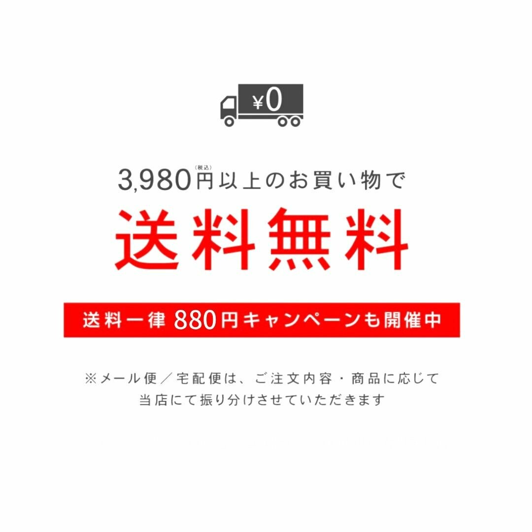 はごろも　きざみのり　100g　のり　海苔　業務用　食品　調味料　送料無料 3