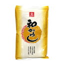 チヨダ　和からし　400g　からし　胡椒　こしょう　業務用　食品　調味料　送料無料