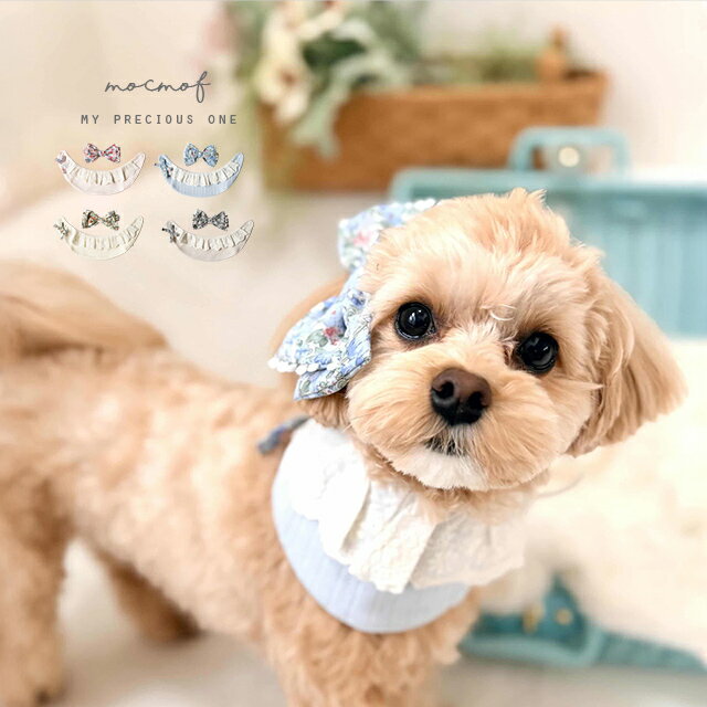 mocmof pet モクモフペット 犬用記念日おめかしセット レース 622-376831(犬 スタイ ペット用スタイ よだれかけ 可愛い フリル おしゃれ アクセサリー ヘア 撮影 記念日 誕生日 リボン 小型犬 犬スタイ フォーマル)