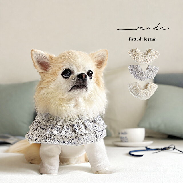 楽天市場】韓国 スタイ（犬用品｜ペット・ペットグッズ）の通販