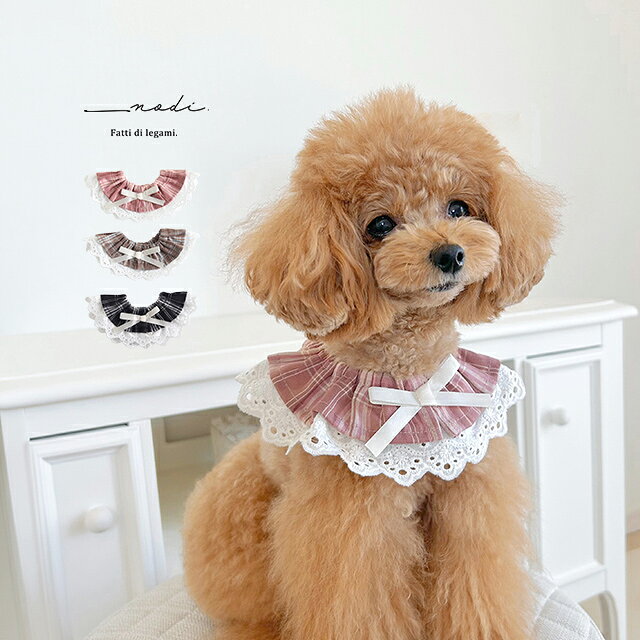 楽天市場】韓国 スタイ（犬用品｜ペット・ペットグッズ）の通販