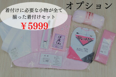洗える着物【☆楽天スーパーセール4日~11日迄☆最大60%off☆】ポリエステル袷洗える袷着物きもの着物女性レディースプレタ着物L仕立て上がり在庫処分セール選べる