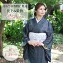 着物 【★4月大決算市500円offクーポン配布中★】セット 初心者 3点フルセット 洗える着物 袷 洗える着物セット 福袋 一式 着物セット 送料無料 お稽古...