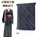 【GWセールお宝探し市20%OFF】小紋 夏小紋 駒絽 反物 着尺 夏きもの カジュアル 紺 盛夏 正絹 きもの 着物 和服 和装 女性 レディース 送料無料 ...