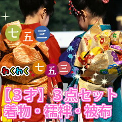 https://thumbnail.image.rakuten.co.jp/@0_mall/kimono-cleaning/cabinet/dodo/imgrc0062096627.jpg