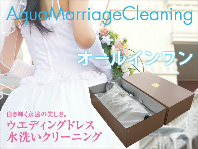 ウエディングドレス クリーニング 水洗い/オールインワンcleaning【しみ抜き込】【汗抜き処置込】【ふっくら真空パッ…