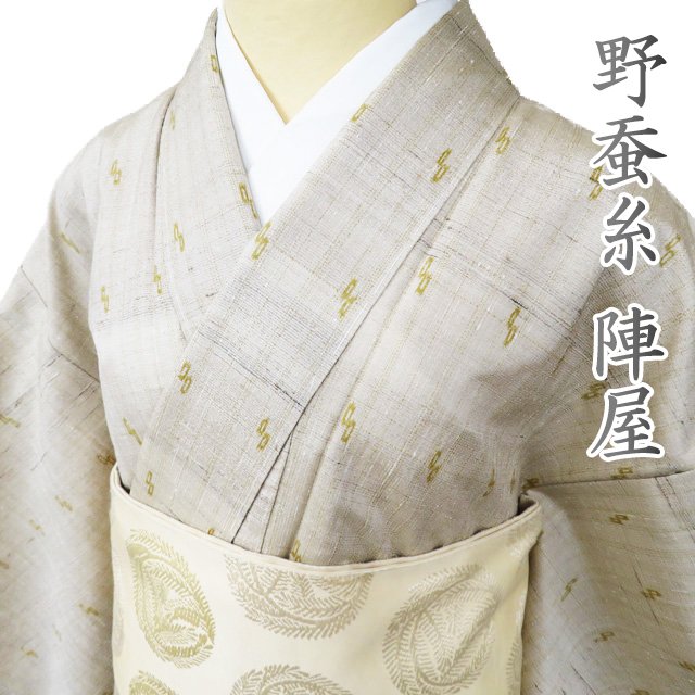 y  z I  TCN   JWA x \ xt sw wސ F g159.5cm 64cm M A933-1 [ a   i kimono AEgbg  ̖k]