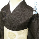 y  z 哇 TCN   JWA g͗l ŒF F g163cm 66.5cm M A966-1 [ ̓ v[g a   i kimono AEgbg  ̖k]