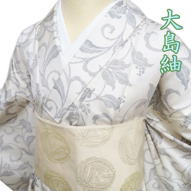 美品 正絹単衣 白山紬地創作小紋単品 カッコイイ 美品 正絹単衣 白山紬地創作小紋単品 カッコイイ