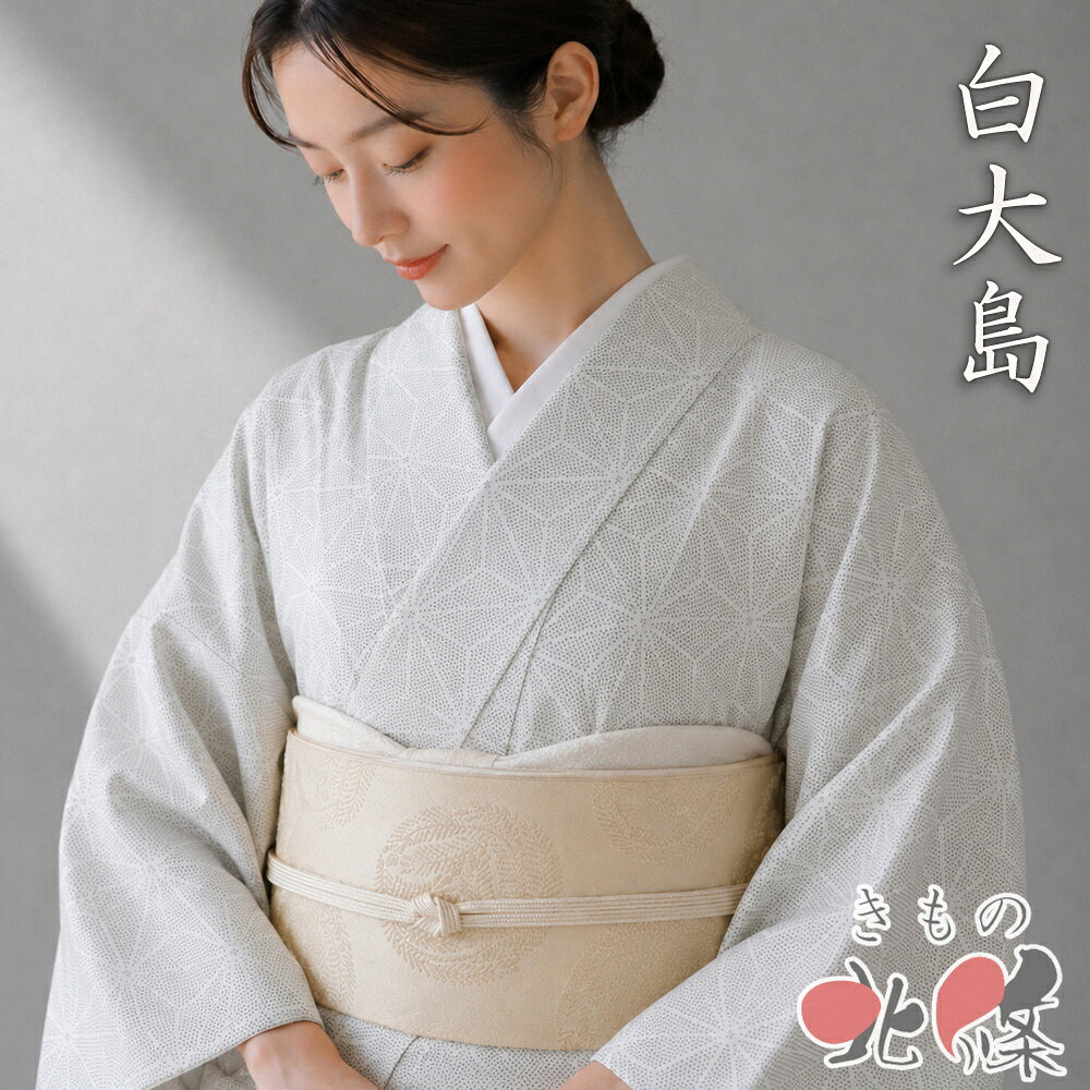 ⭐️白大島紬　袷　衣裳らくや【新品・未使用・しつけ糸付き】お値下げ中 楽天市場】リサイクル 白大島の通販
