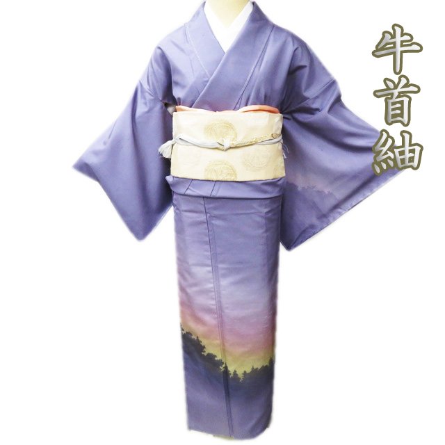 y gp z I    Z~tH[} RH[ K⒅ i ؁X̃VGbg F F g155cm 64.5cm S A886-5 [ a  K⒅ AEgbg  kimono  ̖k]