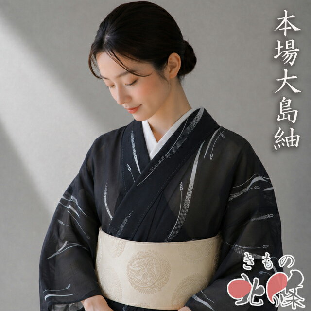 楽天市場】本場大島紬（種類（着物）夏物）の通販