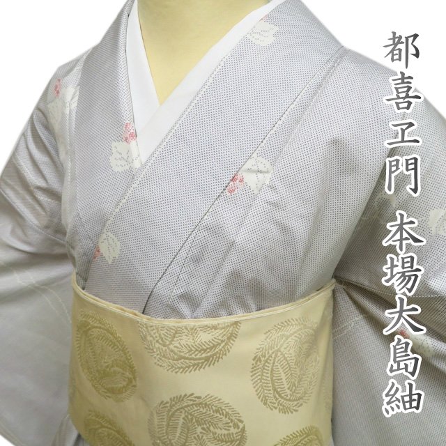 ◇厳選◇未使用同然◇素晴らしい本場奄美大島紬◇白大島紬◇裄 ◇厳選◇未使用同然◇素晴らしい本場奄美大島紬◇白大島紬◇裄