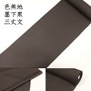 色無地 生地 反物 着尺 無地小紋 無地 着物 正絹 絹100% レディース 女性用 メンズ 男性用 男女兼用 フォーマル カジュアル 結婚式 式典 普段着 日...