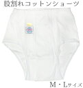 【NEW】 和装用 股割ショーツ(レース付き) M・Lサイズ 綿100% 【日本製】【和装下着】【下ばき】【和装ショーツ】【またわれ】【股割れ】