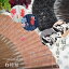 扇子 扇子袋 2点セット 6種類 猫 パンダ 金魚 人気のアニマルシリーズ ピンクベージュ ブラック ギフト 母の日 レディース プレゼント 実用的 箱入り