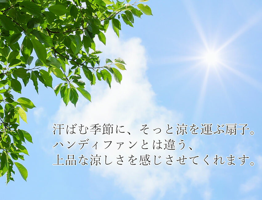 扇子 扇子袋 2点セット 箱入り 透かし 鳥獣戯画 風神雷神 龍 ベージュ 黒 モスグリーン メンズ 男性 ギフト プレゼント 父の日