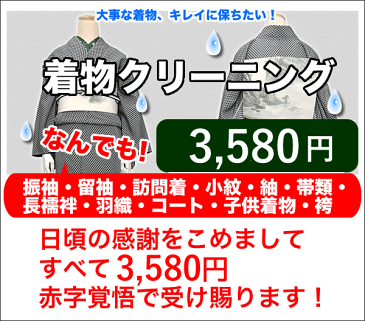 着物クリーニング きもの 訪問着 丸洗い 保存 シミ抜き プレス加工 振袖 洗濯 正絹 メンテナンス 京洗い 袋帯 名古屋帯 和装 和服 着物 セール対象外