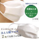 マスク 日本製 不織布フィルター使用 洗える絹マスク プリー