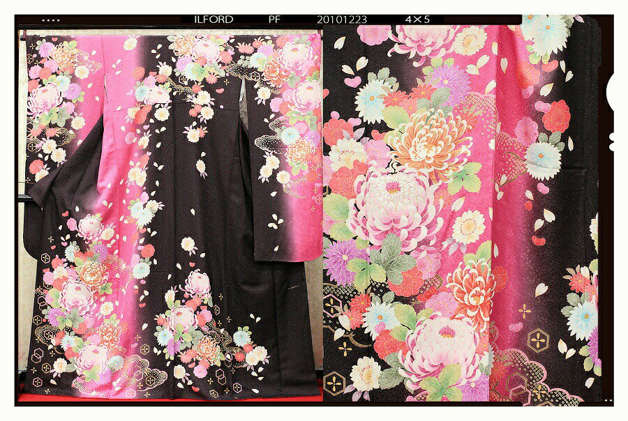 【レンタル】振袖 レンタル 成人式 着物 セット縦茶ピンクぼかしらん菊32