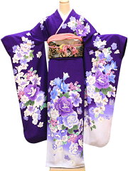 https://thumbnail.image.rakuten.co.jp/@0_mall/kimono-kyoutoya/cabinet/32slp11.jpg