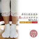 【5/1 0:00-★全品10%OFFクーポン】 ステテコ レディース 和装下着 パンツ型裾除け 冬用 暖か 旭化成の発熱繊維サーモギアー使用 ヒートインナー ...
