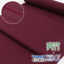 【10%クーポン対象】【夏用】長襦袢 洗える 反物 東レ 爽竹 セオα シルック 赤 ワイン カラー襦袢 夏・単衣用 さらら 洒落 カジュアル 未仕立て ポリエステル セオアルファ