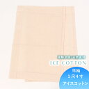 【10%OFF & 最大1500円OFFクーポン】 【1尺4寸】 「アイスコットン」替え袖 洗える パール 薄橙色 接触冷感 ひんやり 涼しい 平織 無地 綿麻...