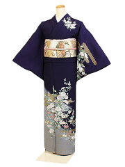 https://thumbnail.image.rakuten.co.jp/@0_mall/kimono-rental-kyoshou/cabinet/as-0020-2.jpg