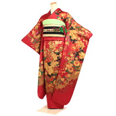 https://thumbnail.image.rakuten.co.jp/@0_mall/kimono-rental-kyoshou/cabinet/f-00227-2.jpg